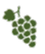 GREEN GRAPE